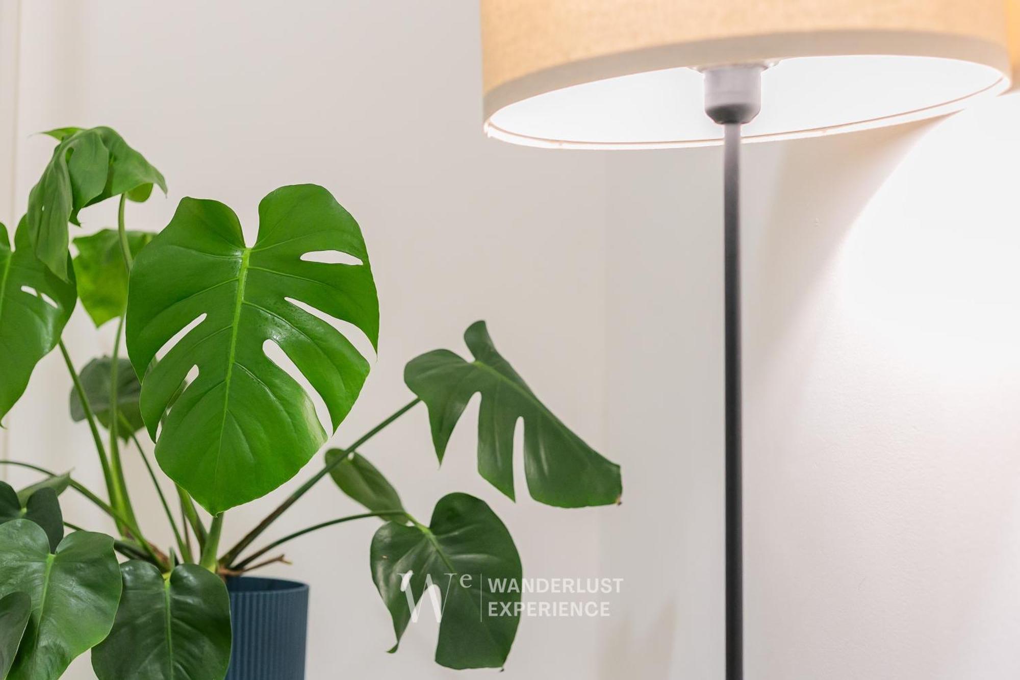 Wanderlust Experience Frankly Apartment バーリ エクステリア 写真